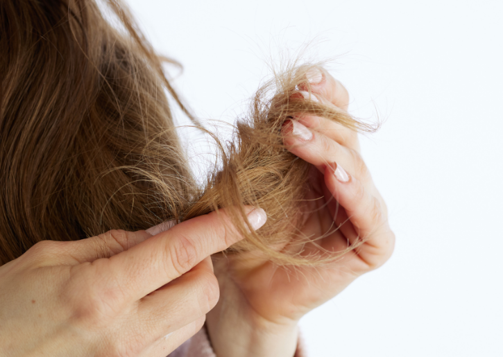 Droog haar Droge, bruine en gespleten haarpunten